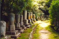 japon (94).jpg